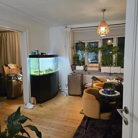 Lejlighed - Shared Bathroom With 1 For Adults 35-60 Lgbt Eu,us,uk Only